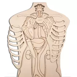 Пазлы WoodCraft из древа со строением органов человека 43х27см Пазлы WoodCraft из древа со строением органов человека 43х27см